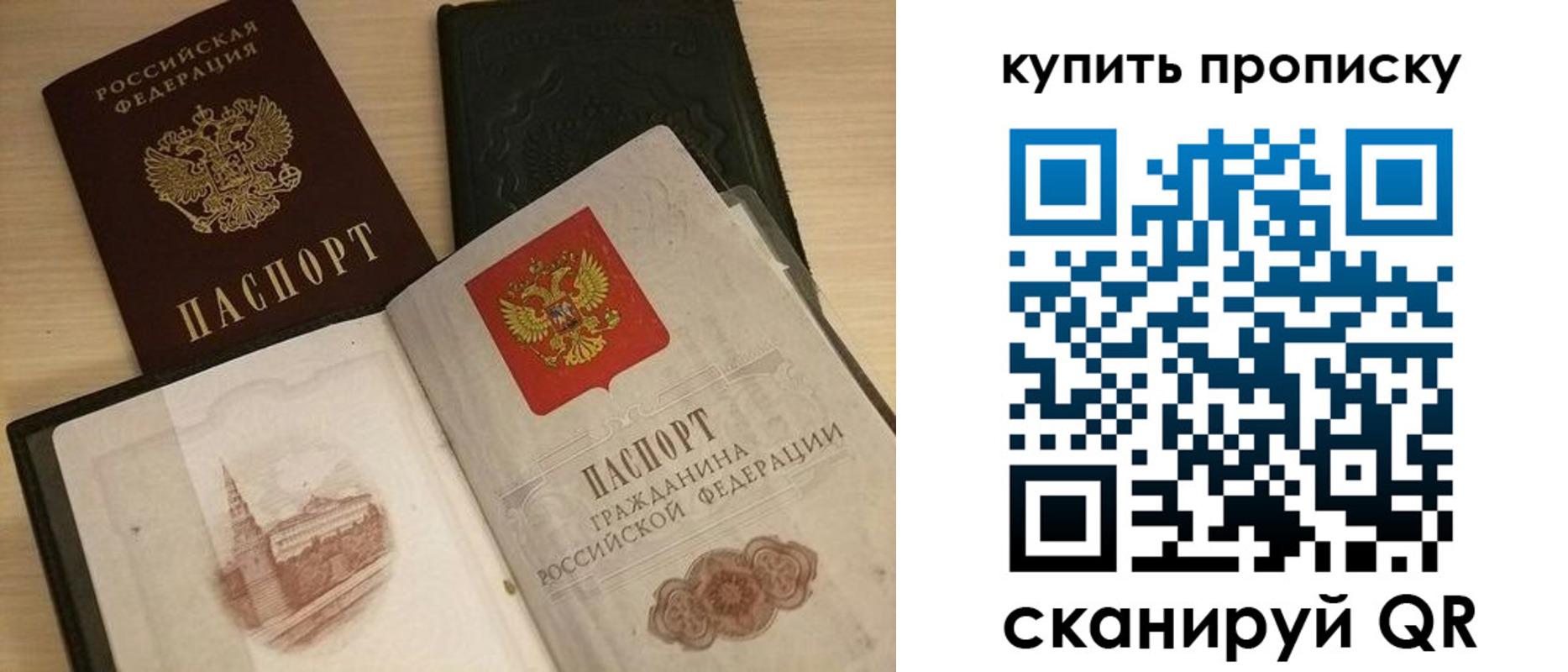 прописка гарантия в Долгопрудном